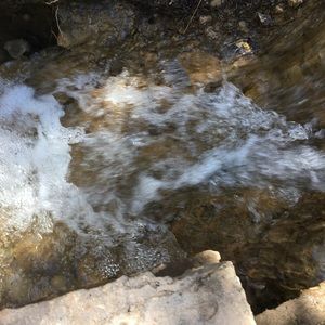 Meet your Posher, Taryn